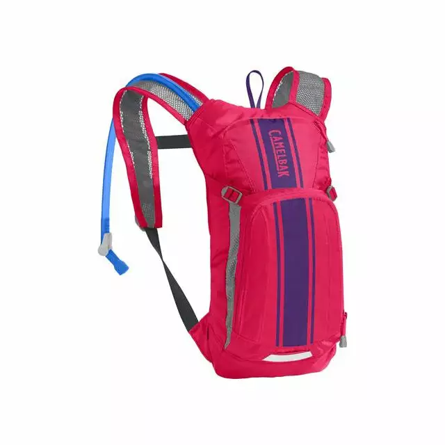 CamelBak Mini M.U.L.E. 50 Oz