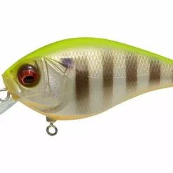 Fishing Megabass Knuckle LD