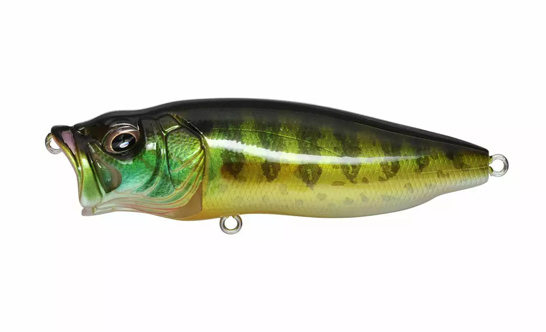 Fishing Megabass Popmax