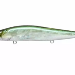 Fishing Megabass Vision Oneten